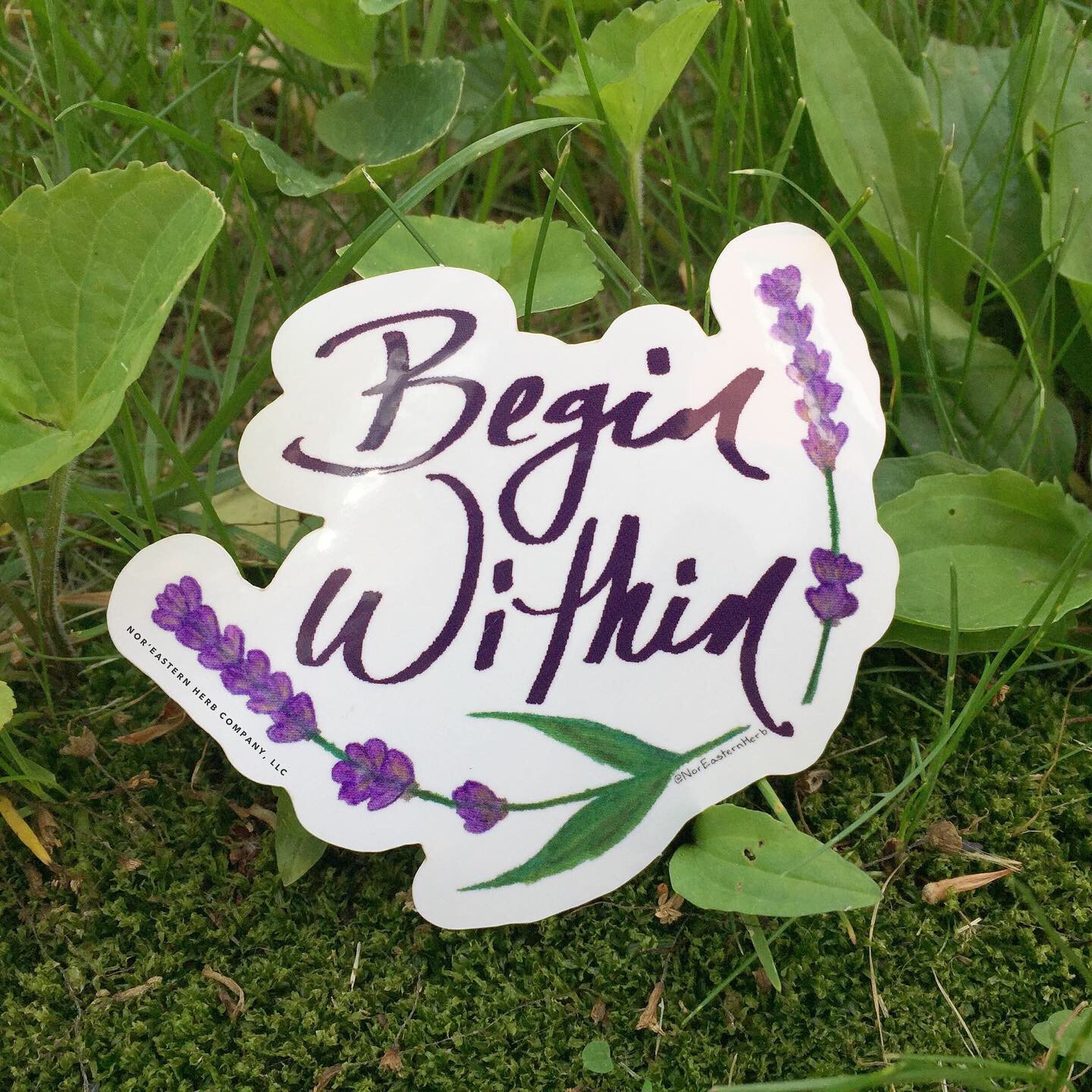 Sticker • Begin Within (wholesale) • Nor'Eastern Herb Company
