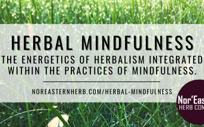 Herbal Mindfulness