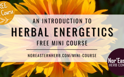 Herbal Energetics Free Mini Course